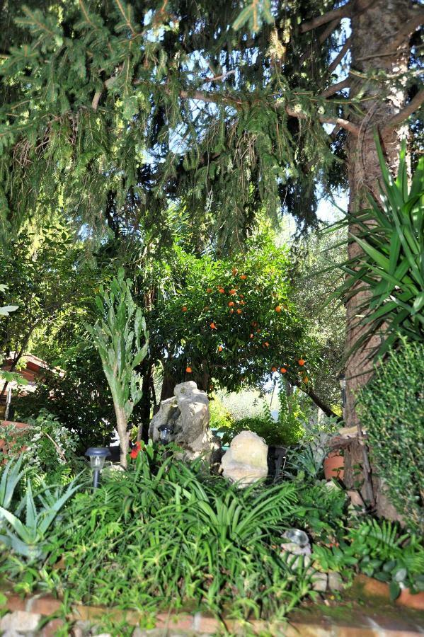 Casa Pontecorvi Bed & Breakfast เวลเลตริ ภายนอก รูปภาพ