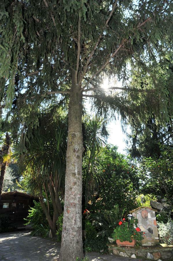 Casa Pontecorvi Bed & Breakfast เวลเลตริ ภายนอก รูปภาพ