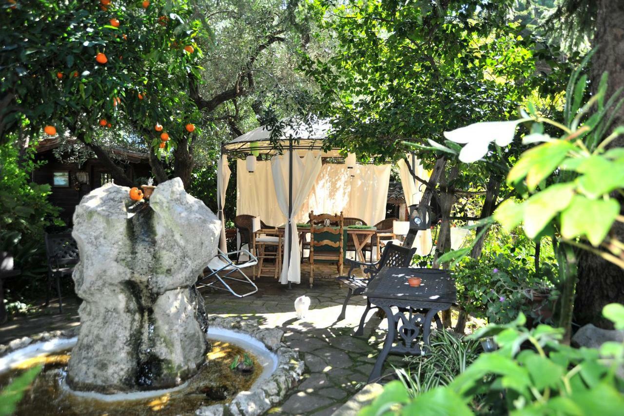 Casa Pontecorvi Bed & Breakfast เวลเลตริ ภายนอก รูปภาพ